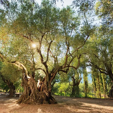 Park 4* 阿里克斯