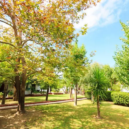Park אליקס