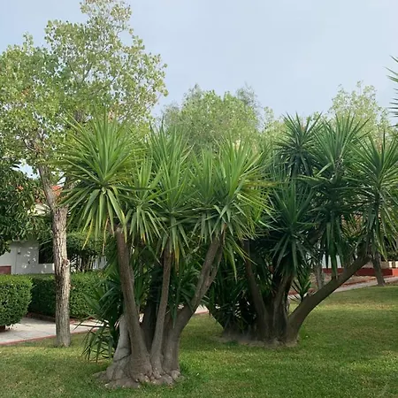 Hotel apartamentowy Park 4*