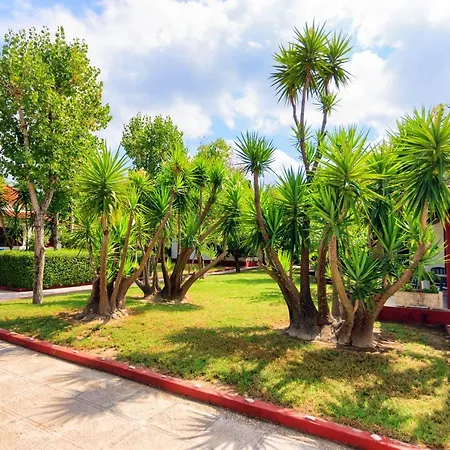 Park 4*