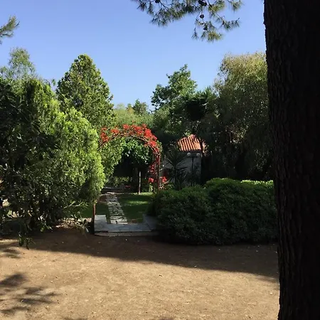 Hotel apartamentowy Park Alikes